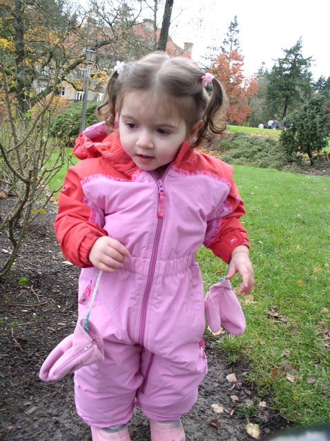 11.13.05 Arboretum-Pittock Mansion-Macleay Park 024 